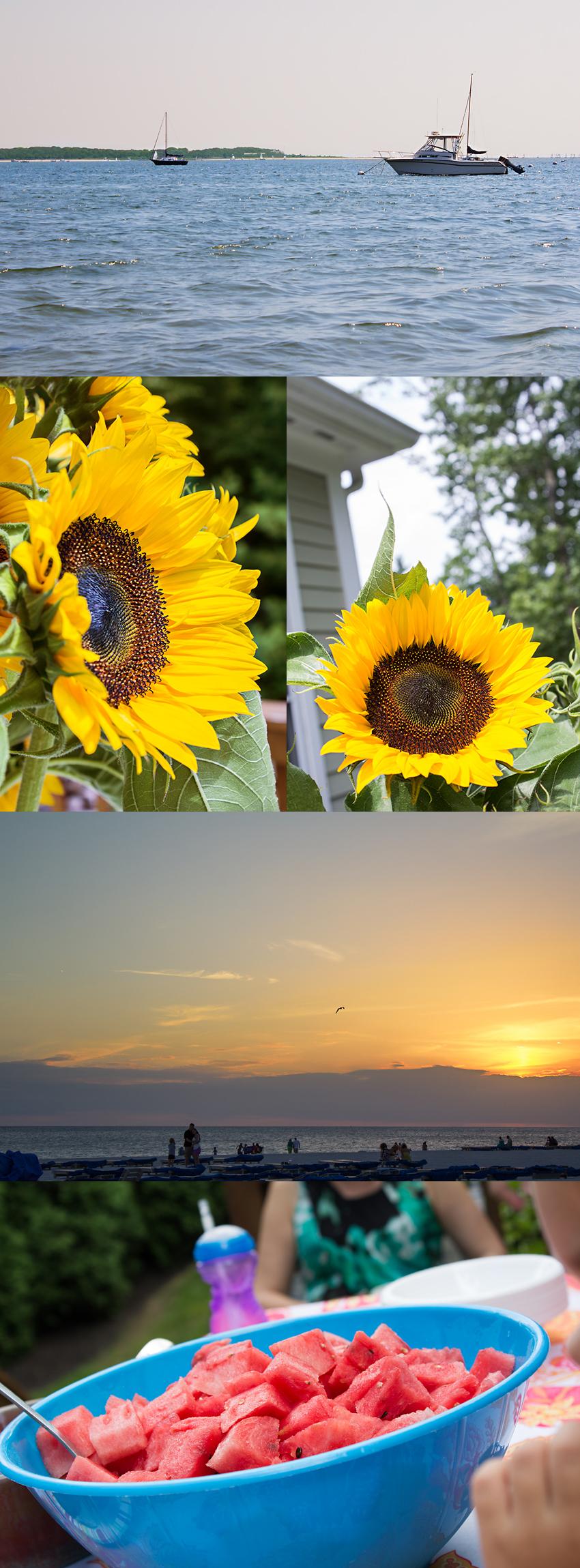 Summer sunflower cape cod waves boat fruit salad watermelon sunset collage storyboard