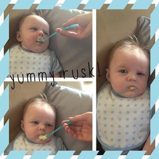 Baby Watch: Week 17