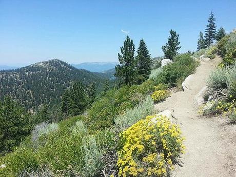 Your Pace or Mine? trt