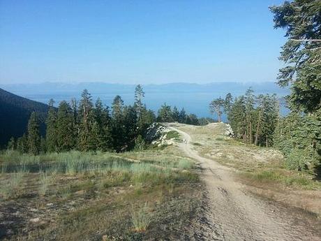 Your Pace or Mine? trt