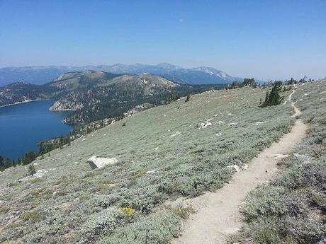 Your Pace or Mine? trt