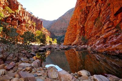 Tales From Down Under: A Picture Is Worth A Thousand Words!