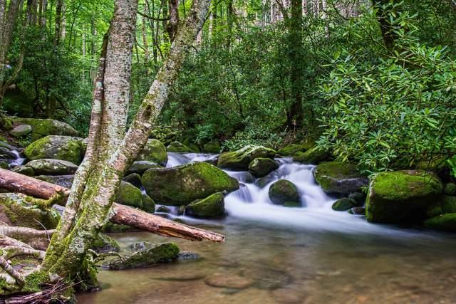 Roaring-Fork-Nature-Trail-Smoky-Mountains-5