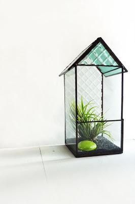 inspiration board | air plants