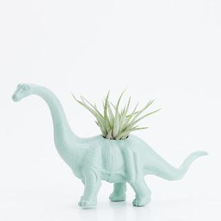 inspiration board | air plants