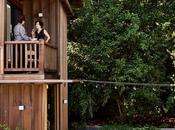 Charming Weekend Cottage Renovation Marin