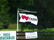 BBC’s Secret Plans Next Doctor Revealed?