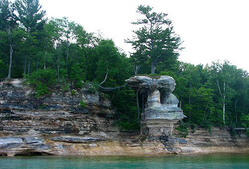 The Lucky Tree Of Chapel Rock