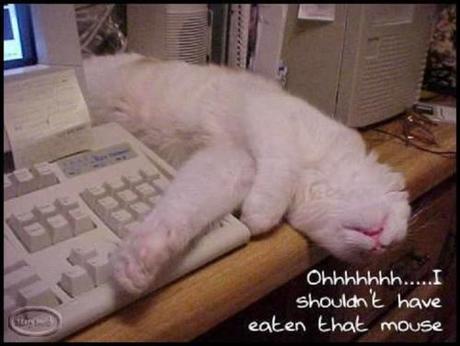 Your Wednesday ‘puter Funnies! puter11