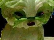 Lettuce Puppy Will Make Swear Vegetables