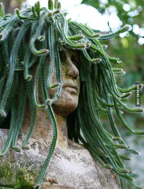 Medusa bust inspiration