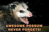 Road Kill Possum Tastes… Not That Awesome