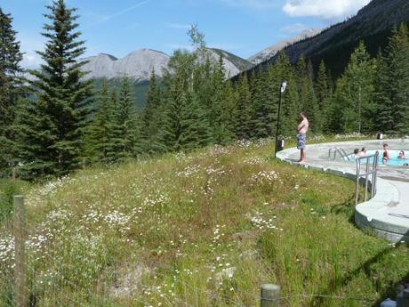 Miette Hotsprings