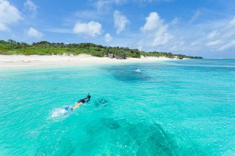 Islands of Japan: Ippei & Janine Naoi