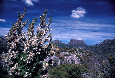 Tasmania, Part II: Cradle Mountain