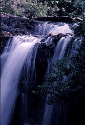 Tasmania, Part II: Cradle Mountain