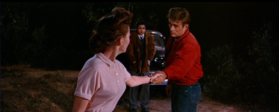 Rebel Without a Cause (Nicholas Ray, 1955)