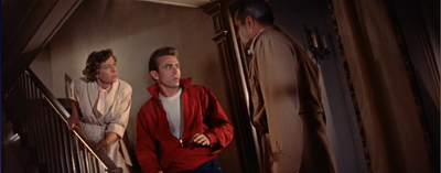 Rebel Without a Cause (Nicholas Ray, 1955)