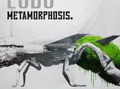 Ludo Metamorphosis Exhibition