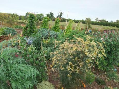 Allotment Style