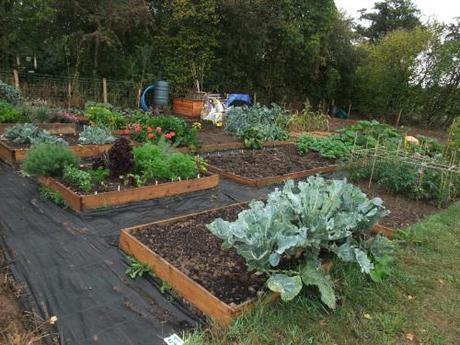 Allotment Style