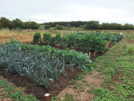 Allotment Style