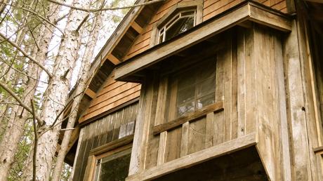 How to build a TREE HOUSE and then GET LAZY in it