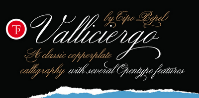 3 New Wedding Fonts