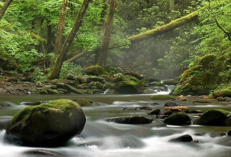 An amazing Etsy artist - the evocative nature photography of Nicholas Bell