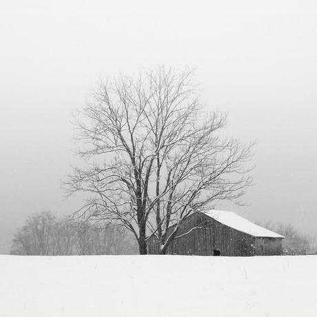 An amazing Etsy artist - the evocative nature photography of Nicholas Bell