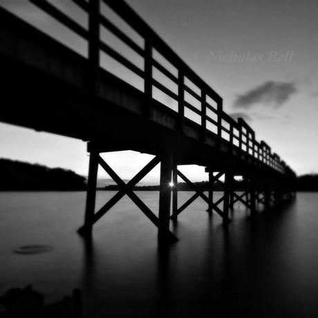 An amazing Etsy artist - the evocative nature photography of Nicholas Bell