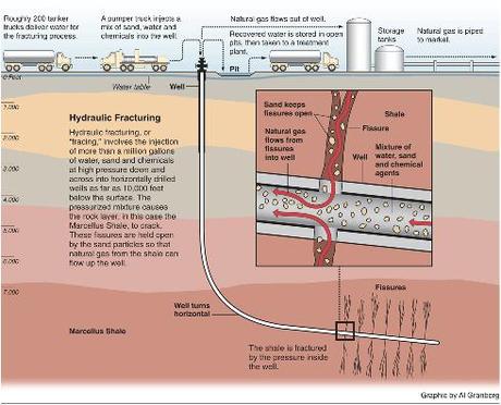 What the Frack?!? Shale Gas Mining in the Netherlands