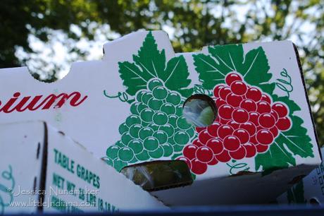 Vevay, Indiana: Swiss Wine Festival Grapes in Waiting