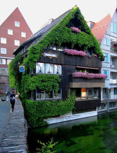 One of my favorite cities from my European backpacking trip - Germany's charming Ulm