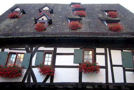 One of my favorite cities from my European backpacking trip - Germany's charming Ulm