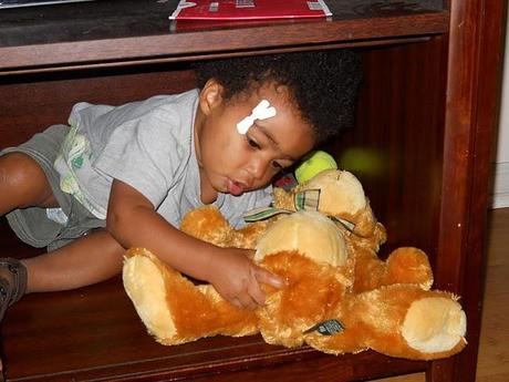 Teddy Bears Are Still A Viable Toy
