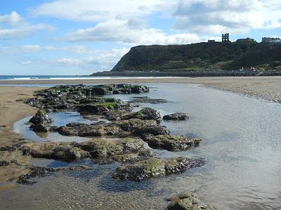 Speechless Sunday: Scarborough