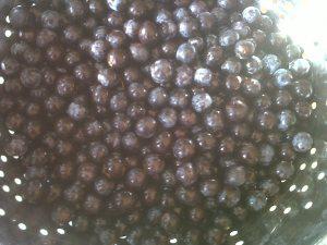 Sloe gin: the harvest