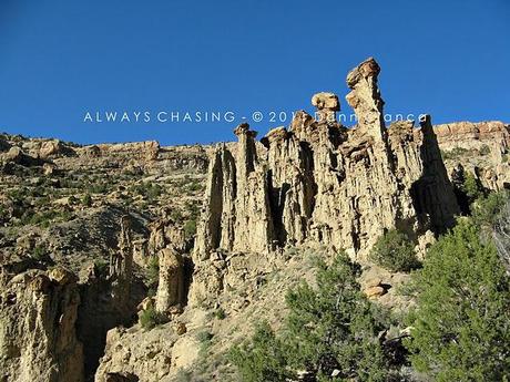 2011 - May 4th - Spring Creek Canyon, Little Book Cliffs Wilderness Study Area / Wild Horse Range