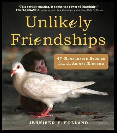 Anastasia's Picks: Scary School and Unlikely Friendships