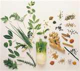Magical Uses Of Herbs 2