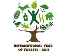 logo International Year of Forests National Tree Day & International Year of Forests