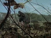 Mothra Godzilla (1964)