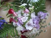 There Life After Ammi?