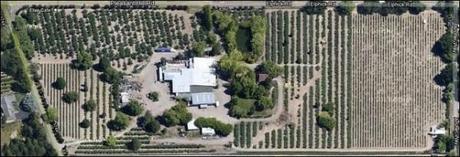 Twin Hill Ranch Aerial