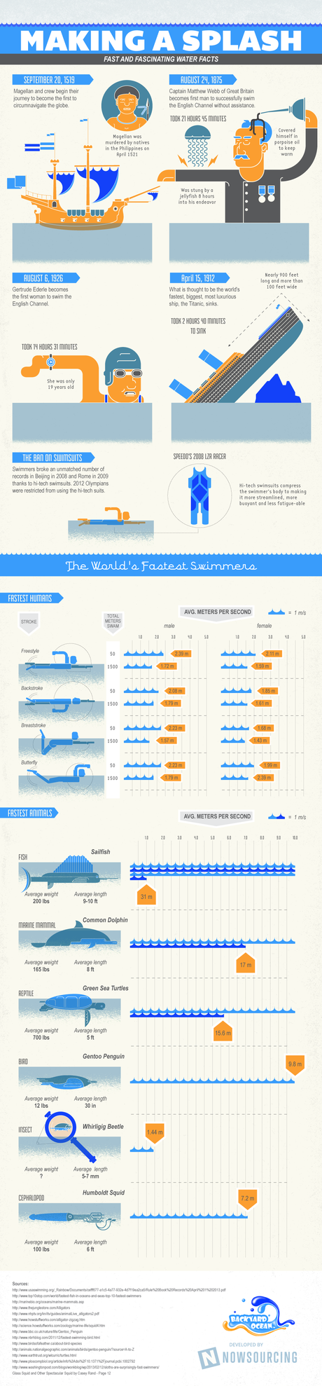 World's Fastest Swimmers Infographic by Backyard Ocean