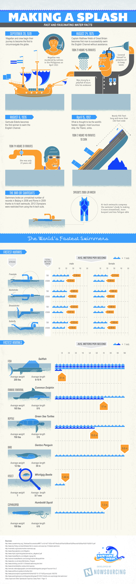 Making a Splash: Fast and Fascinating Water Facts World's Fastest Swimmers Infographic by Backyard Ocean