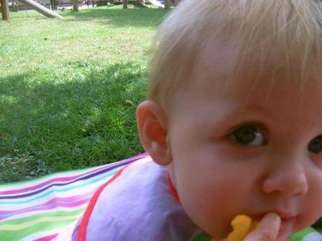 A tale of two parks #countrykids PICT0237