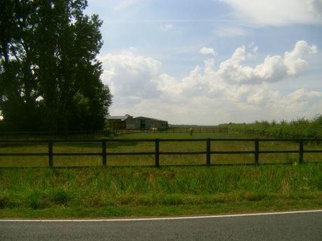 A tale of two parks #countrykids PICT0227