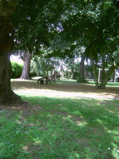 A tale of two parks #countrykids PICT0245